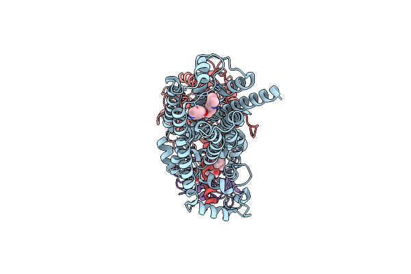 9CHX image