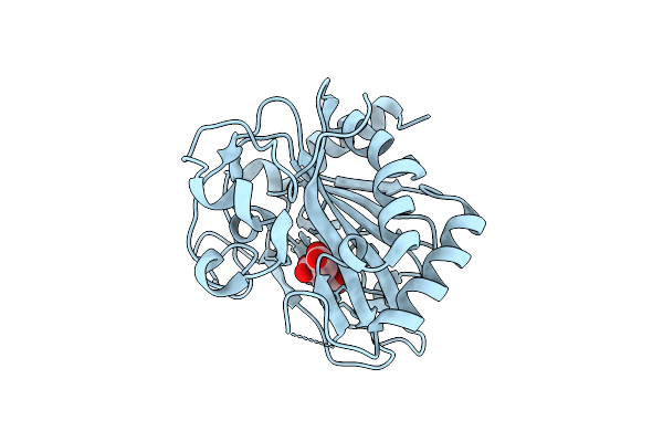 9CI4 image