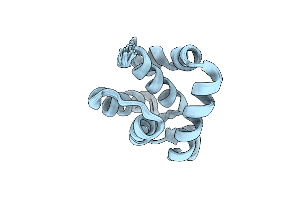 9CIG image
