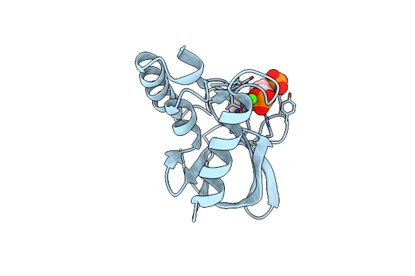 9CIL image