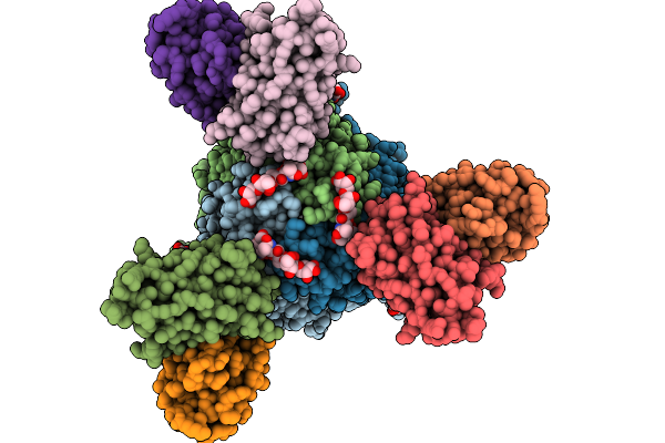 9CIN image