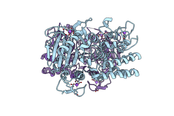 9CIP image