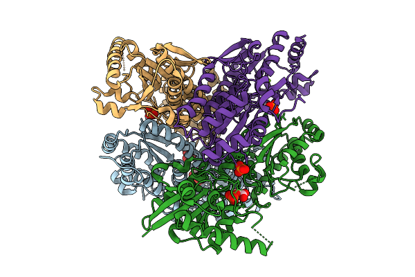 9CIT image