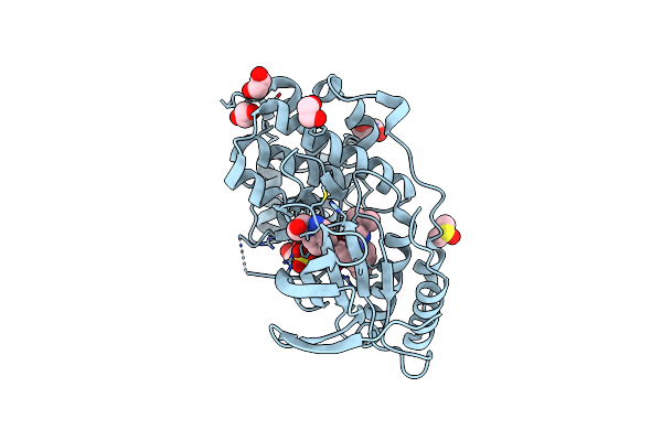 9CJ3 image
