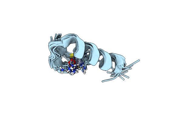 9CJA image