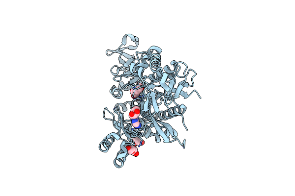 9CJN image