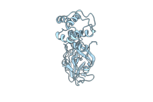 9CJO image