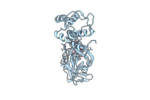 9CJS image