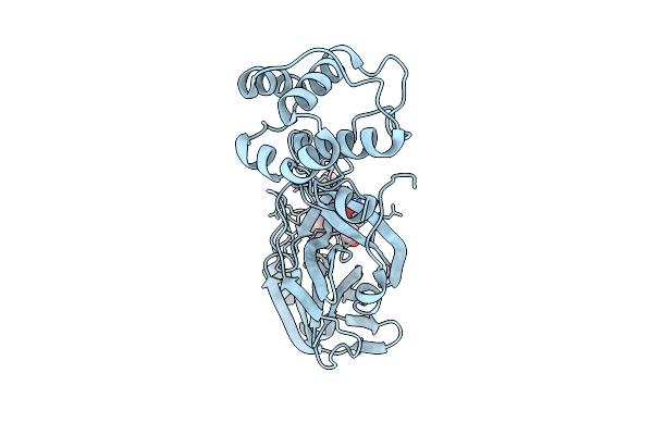 9CJT image
