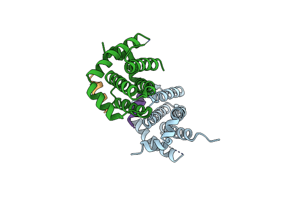 9CKN image
