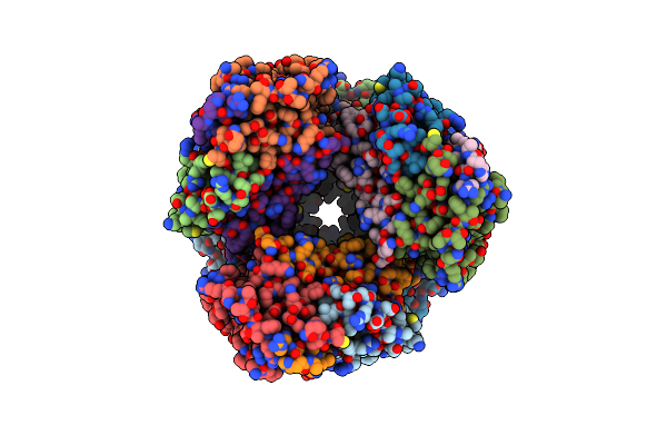 9CL1 image