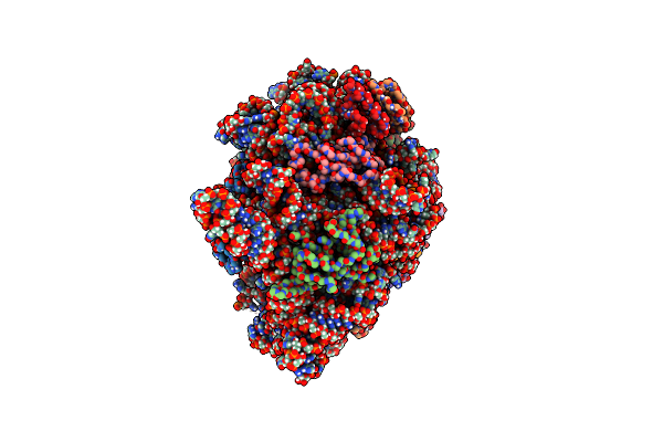 9CL9 image
