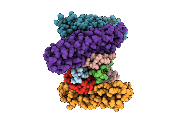 9CLB image