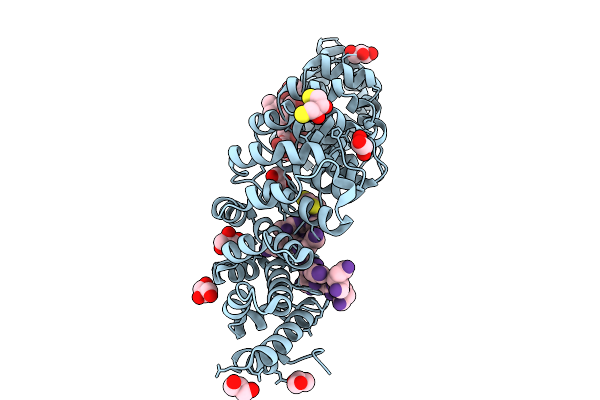 9CLE image