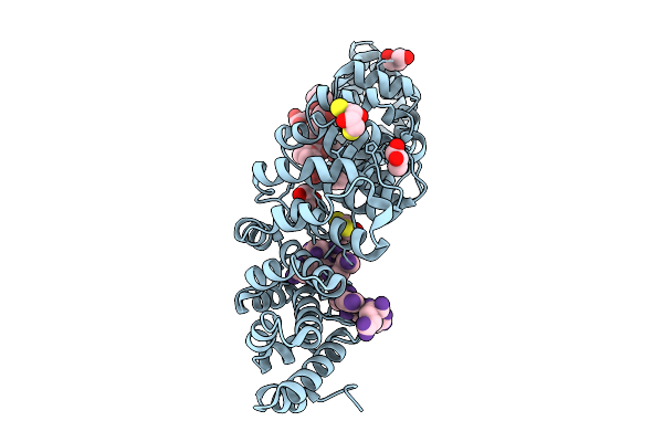 9CLF image