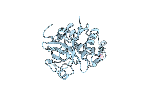 9CLH image