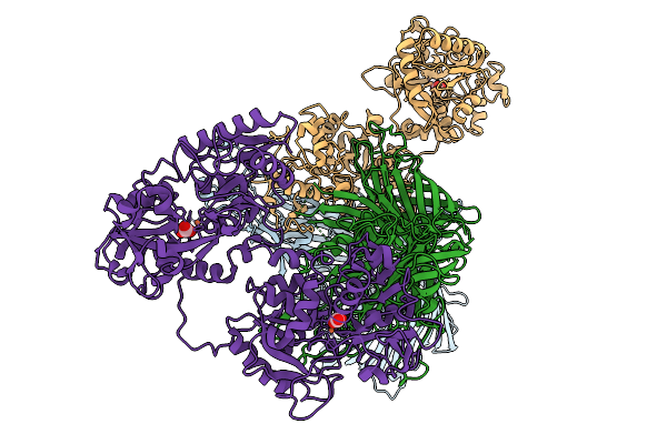 9CLM image