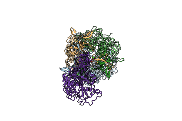 9CLN image