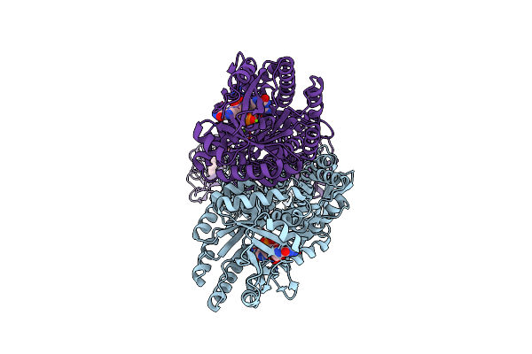 9CLO image