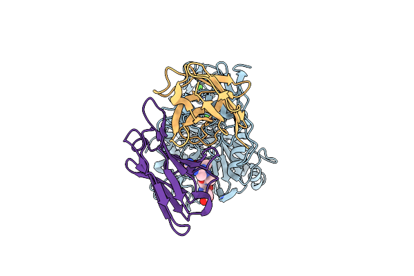 9CLP image