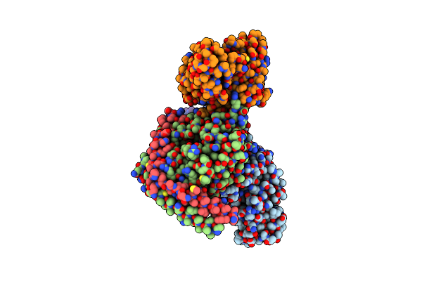 9CLW image