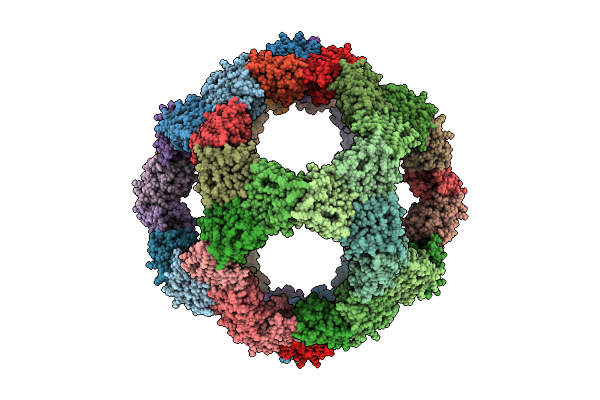 9CLZ image