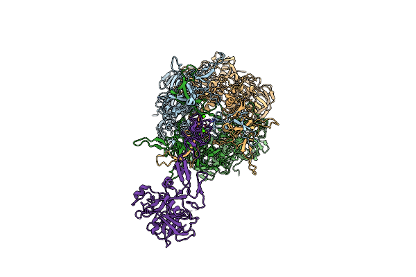 9CM2 image