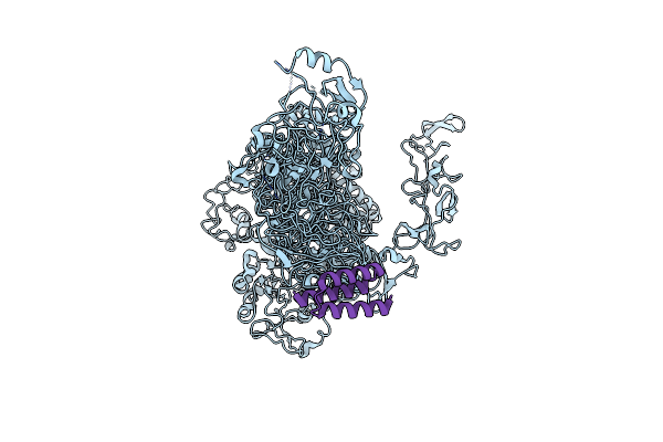 9CM5 image