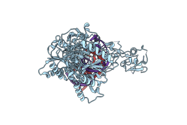 9CMP image