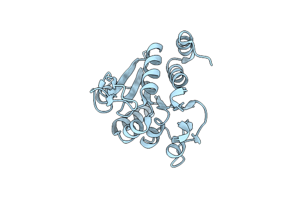 9CMY image