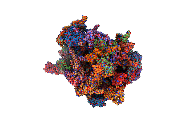 9CN3 image
