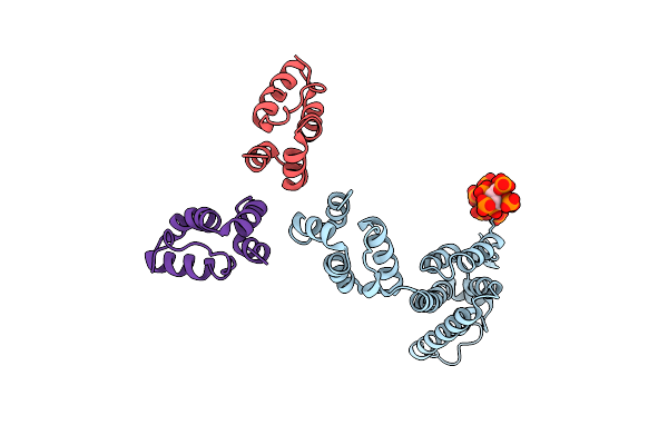 9CNS image