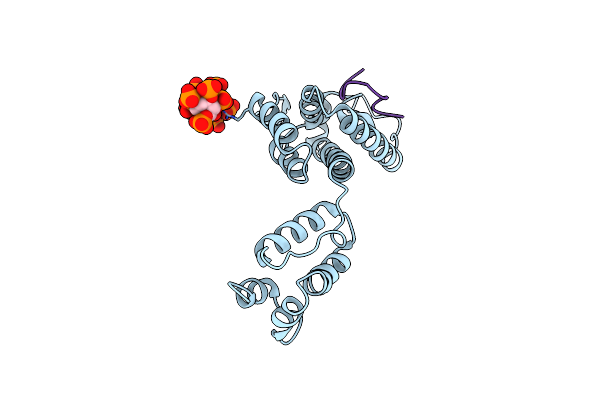 9CNV image