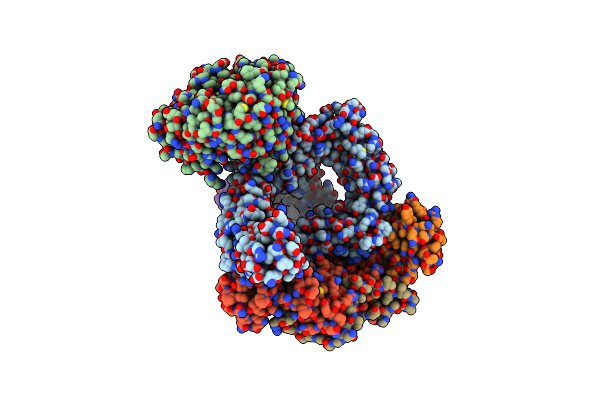 9CNX image
