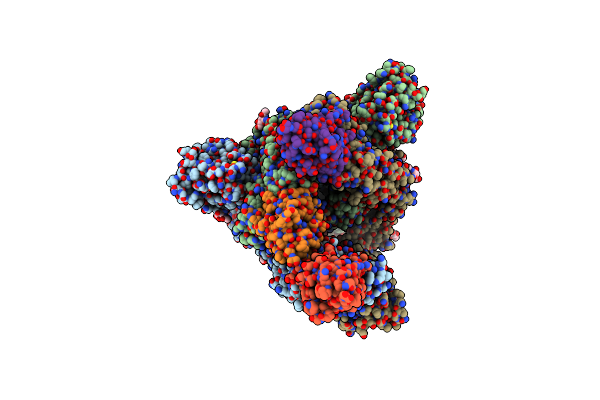 9CO6 image