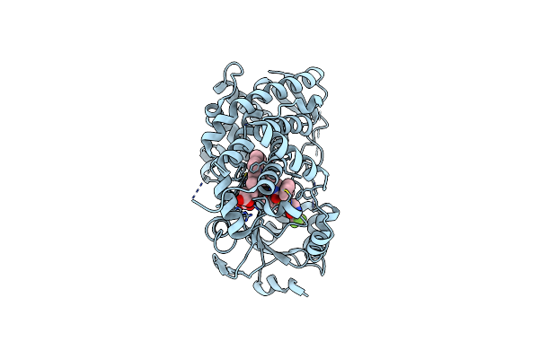 9COR image