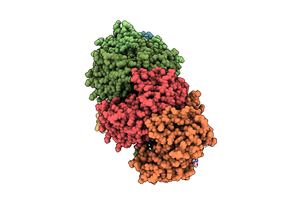 9CP1 image