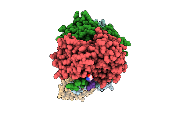9CP2 image