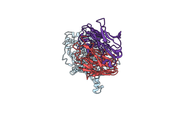 9CP4 image