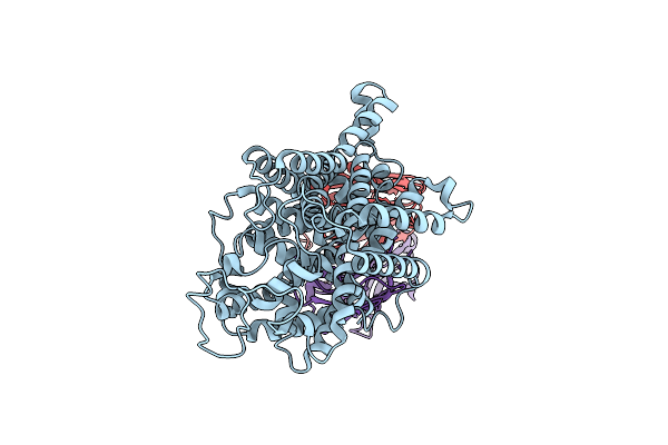 9CP5 image