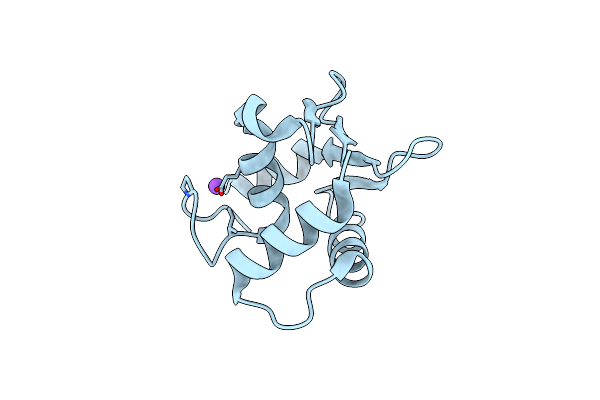 9CP6 image