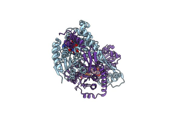 9CP7 image