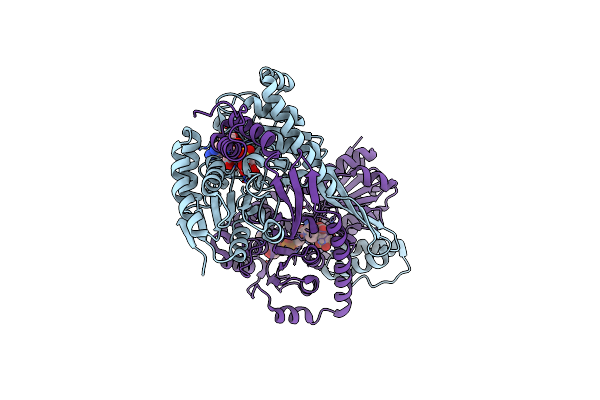 9CP8 image