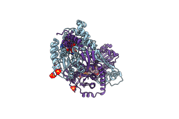 9CP9 image