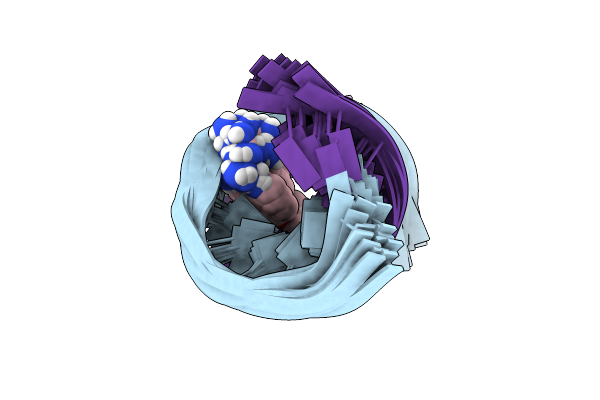 9CPG image