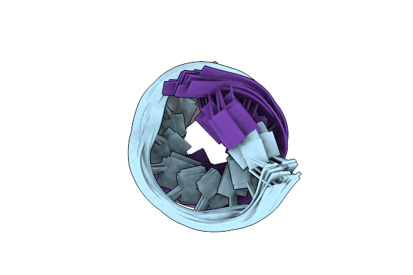 9CPJ image