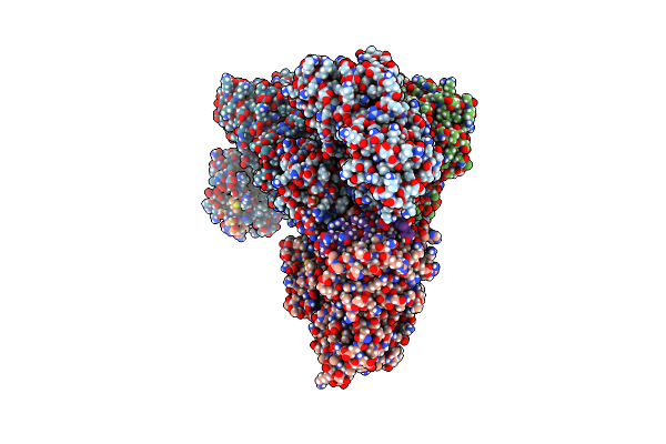 9CPN image