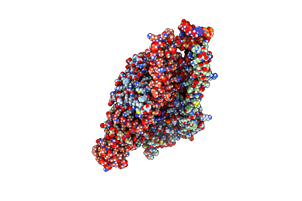 9CPO image