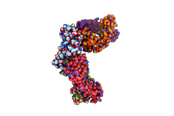 9CPY image