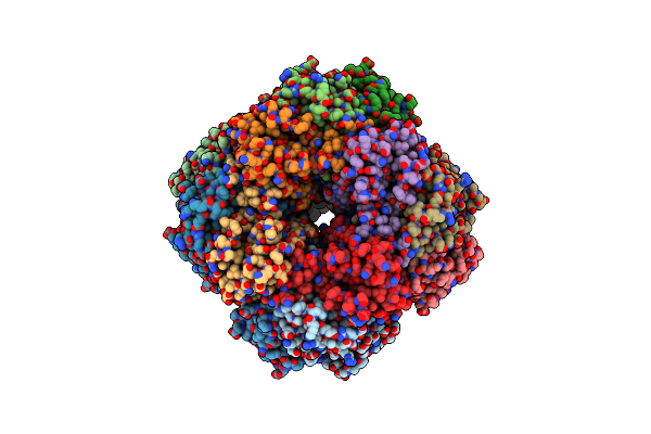 9CQ5 image
